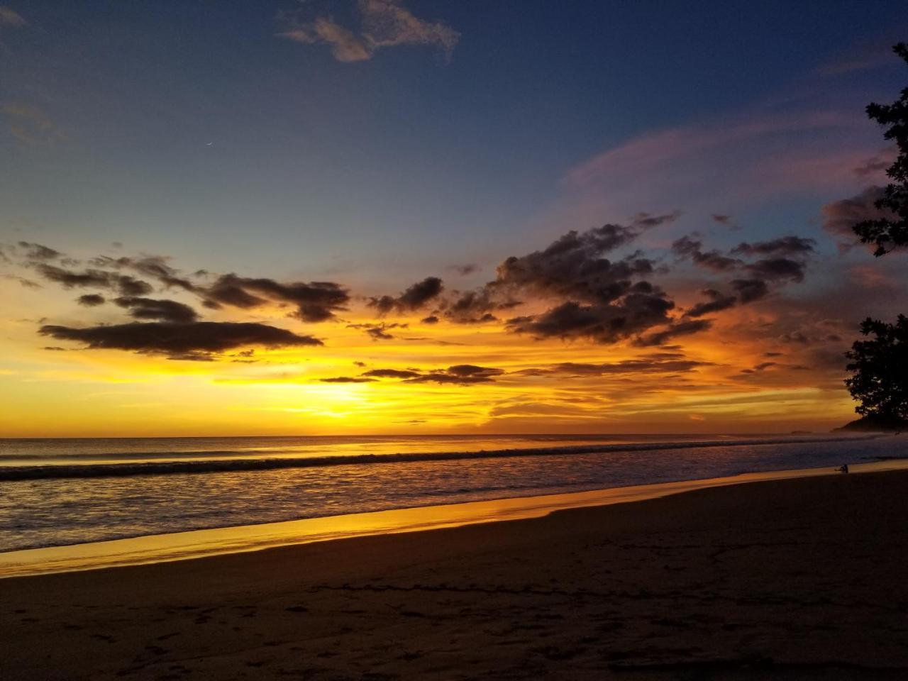 Big Surf House Otel Managua Dış mekan fotoğraf